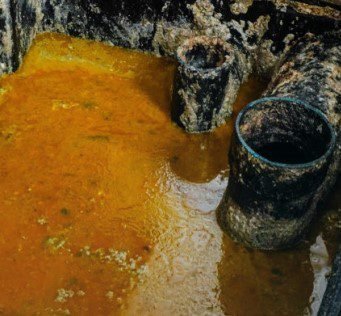 BCP22™, TRATAMIENTO DE GRASAS Y ACEITES (bolsas de 250gr)